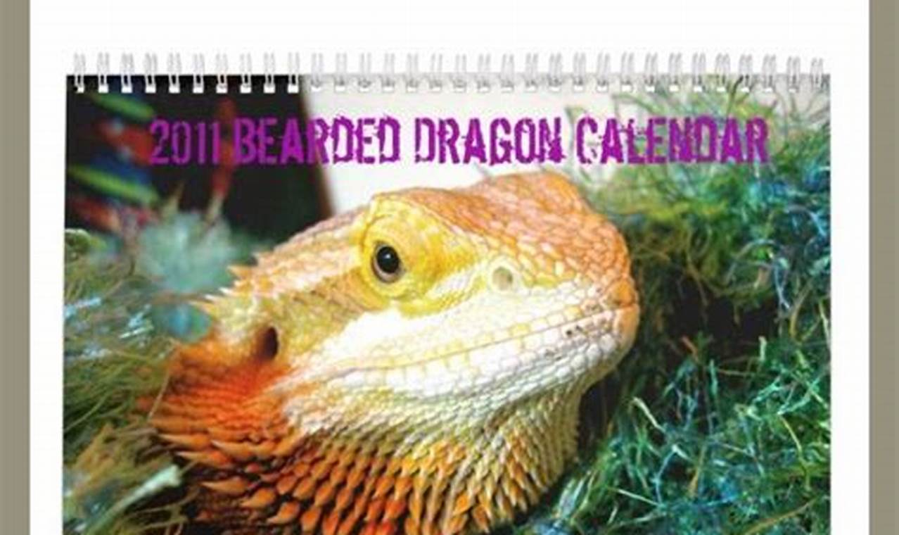 Bearded Dragon Advent Calendar