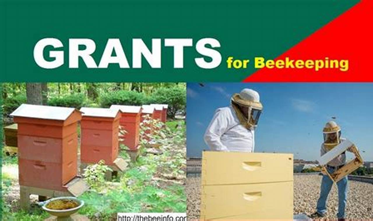 Bee Grants For Individuals 2024