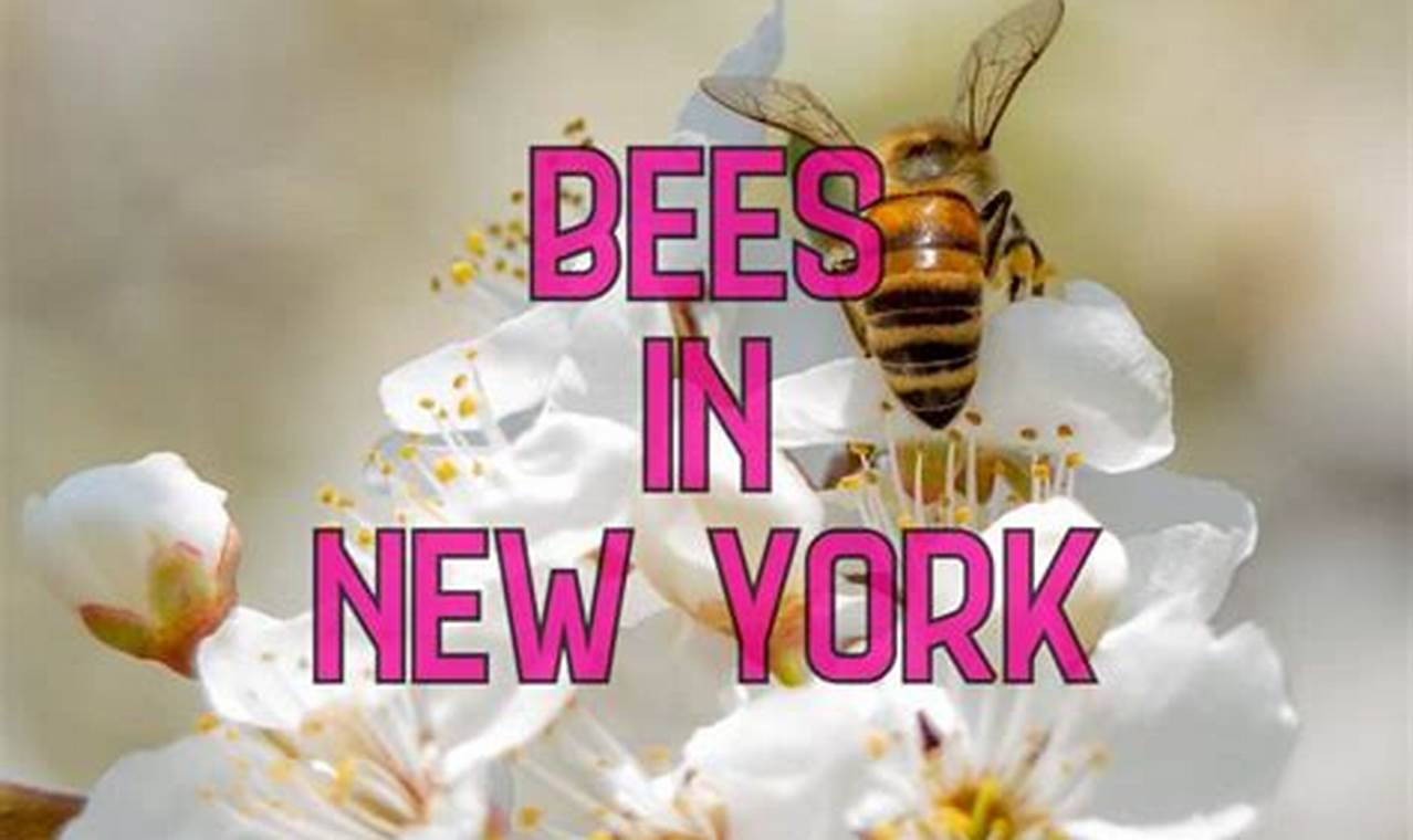 Bees In New York 2024