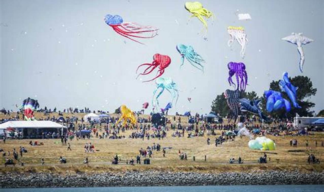 Berkeley Kite Festival 2024 Pictures