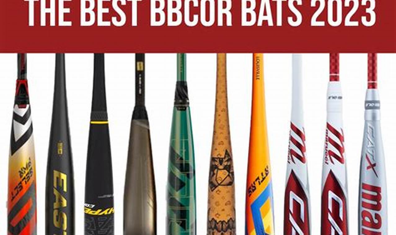 Best Baseball Bats 2024
