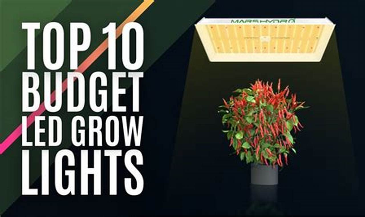 Best Budget Led Grow Lights 2024