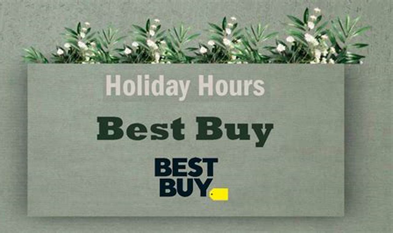 Best Buy Holiday Hours 2024