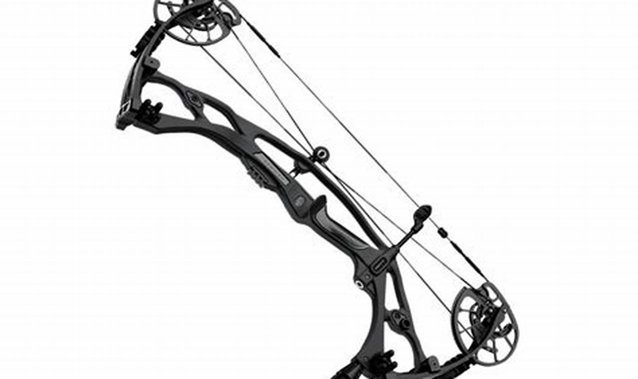 Best Carbon Bow 2024