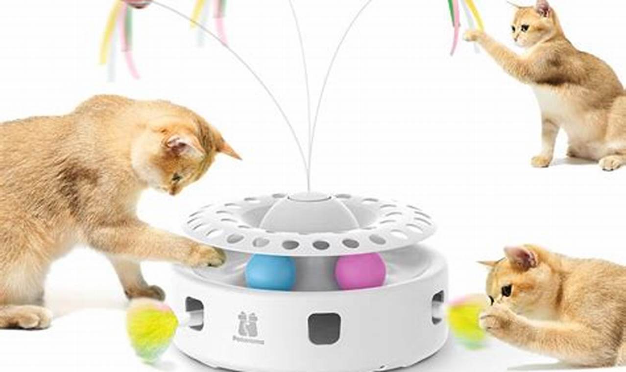 Best Cat Toys 2024