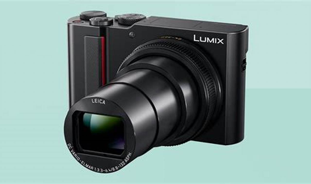 Best Compact Camera 2024 Reddit