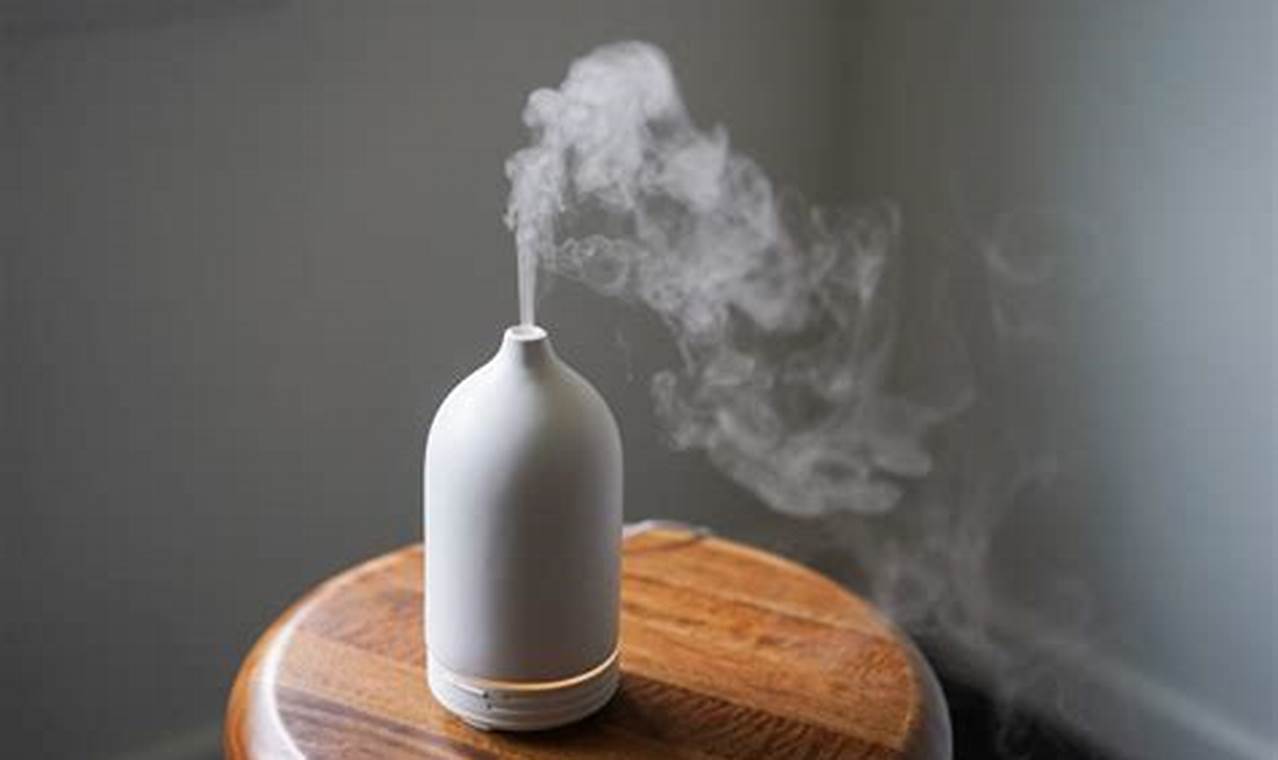 Best Diffusers 2024