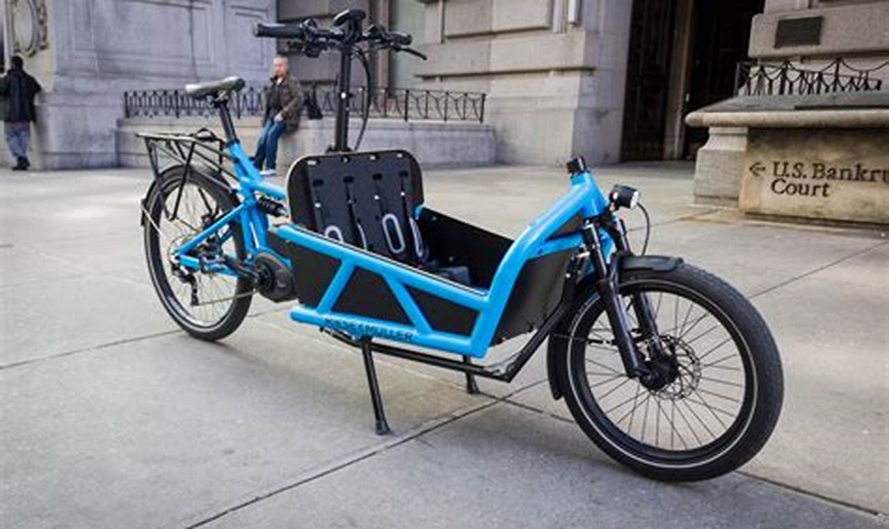 Best Electric Cargo Bike 2024