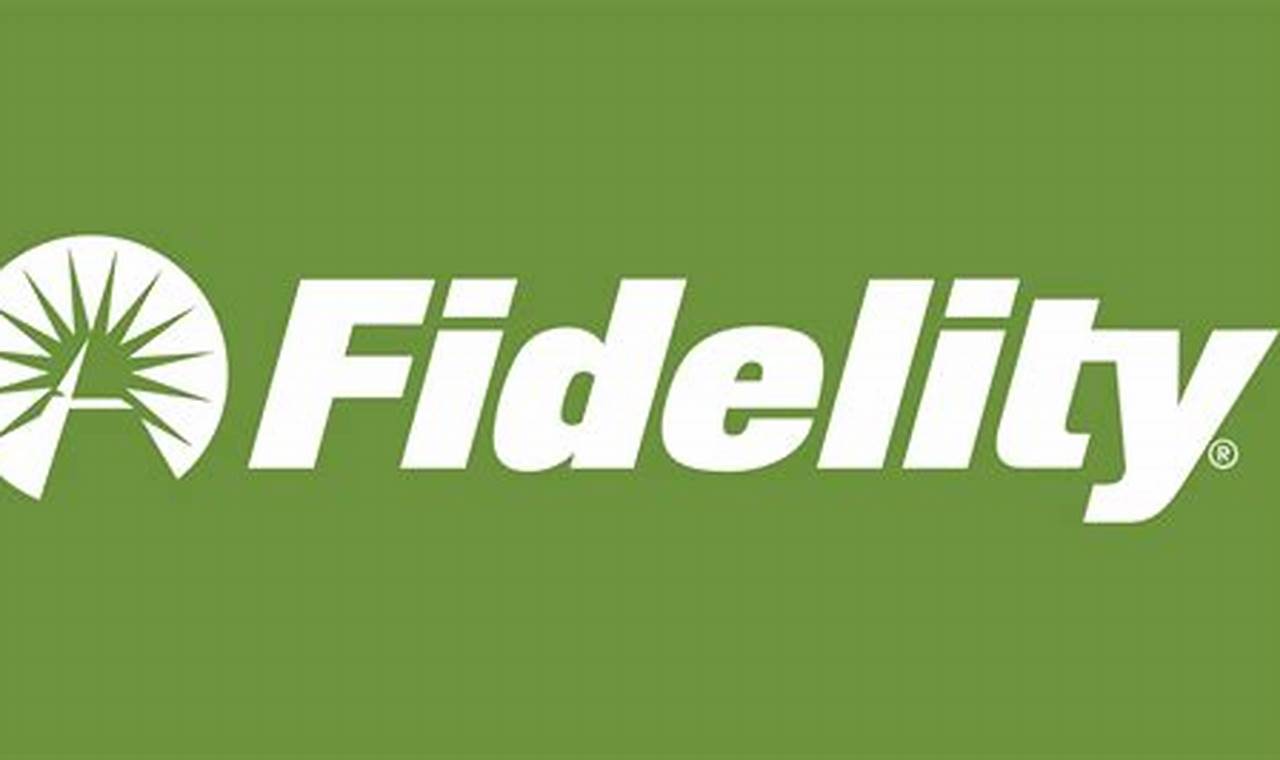Best Fidelity Funds For 2024