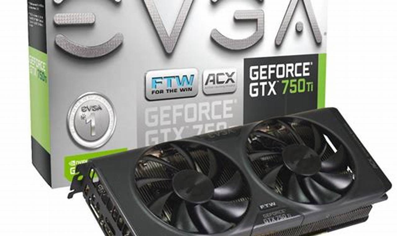 Best Graphics Card For The Money 2024