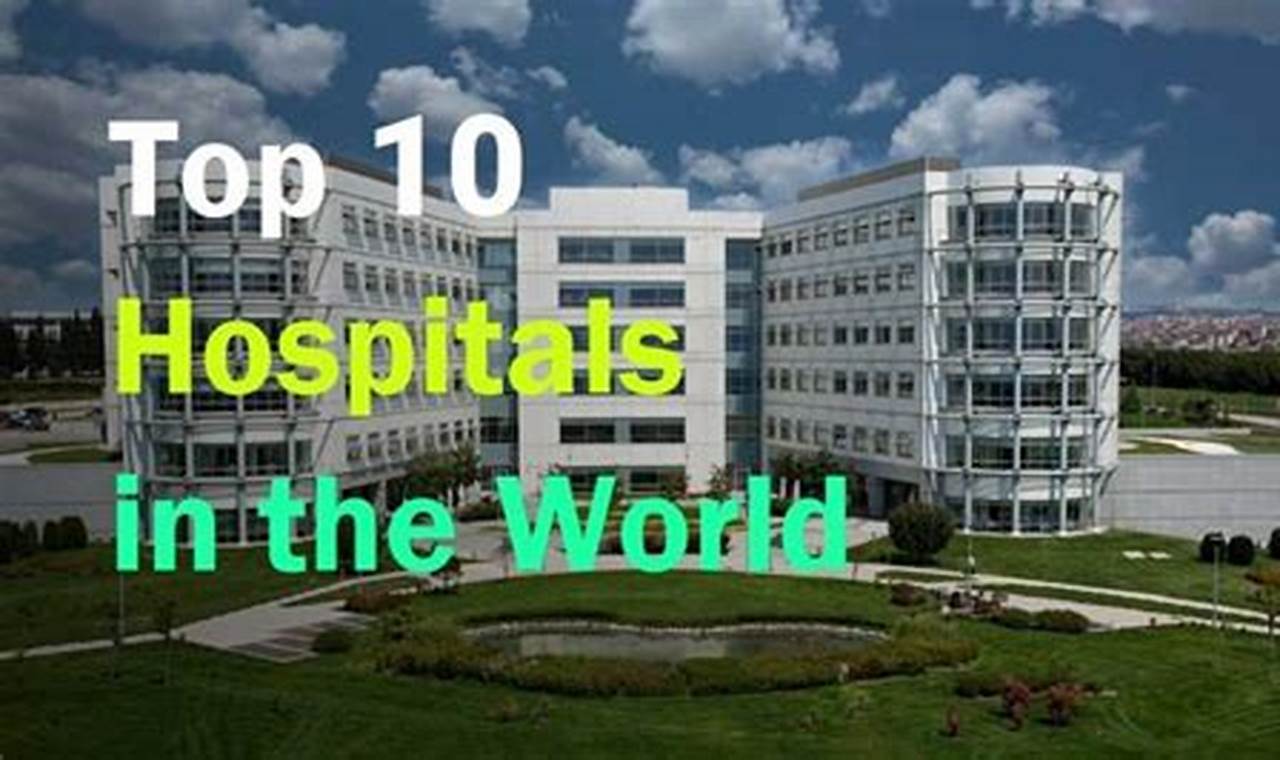 Best Hospital In The World 2024