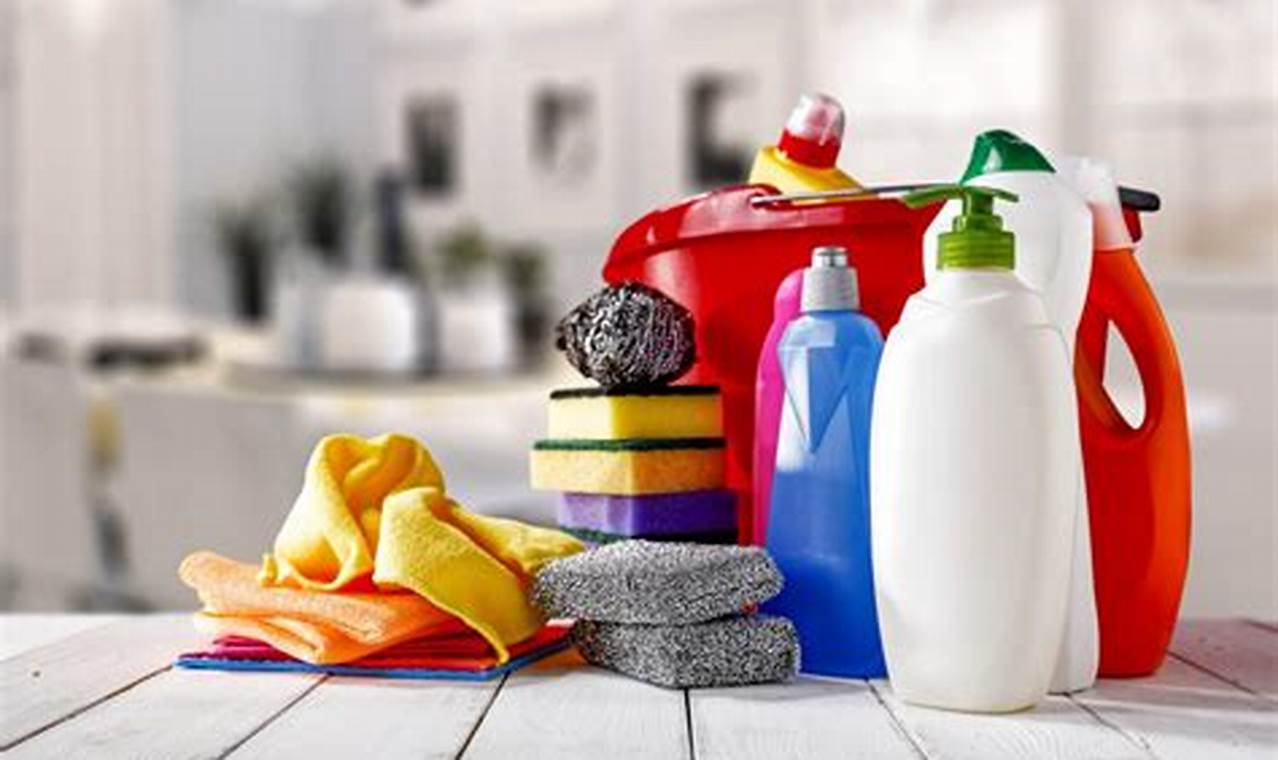 Best House Cleaning Products 2024