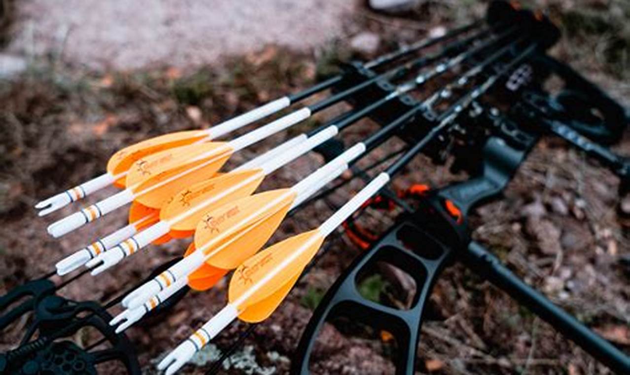 Best Hunting Arrows 2024