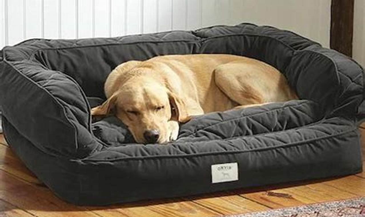 Best Large Dog Beds 2024