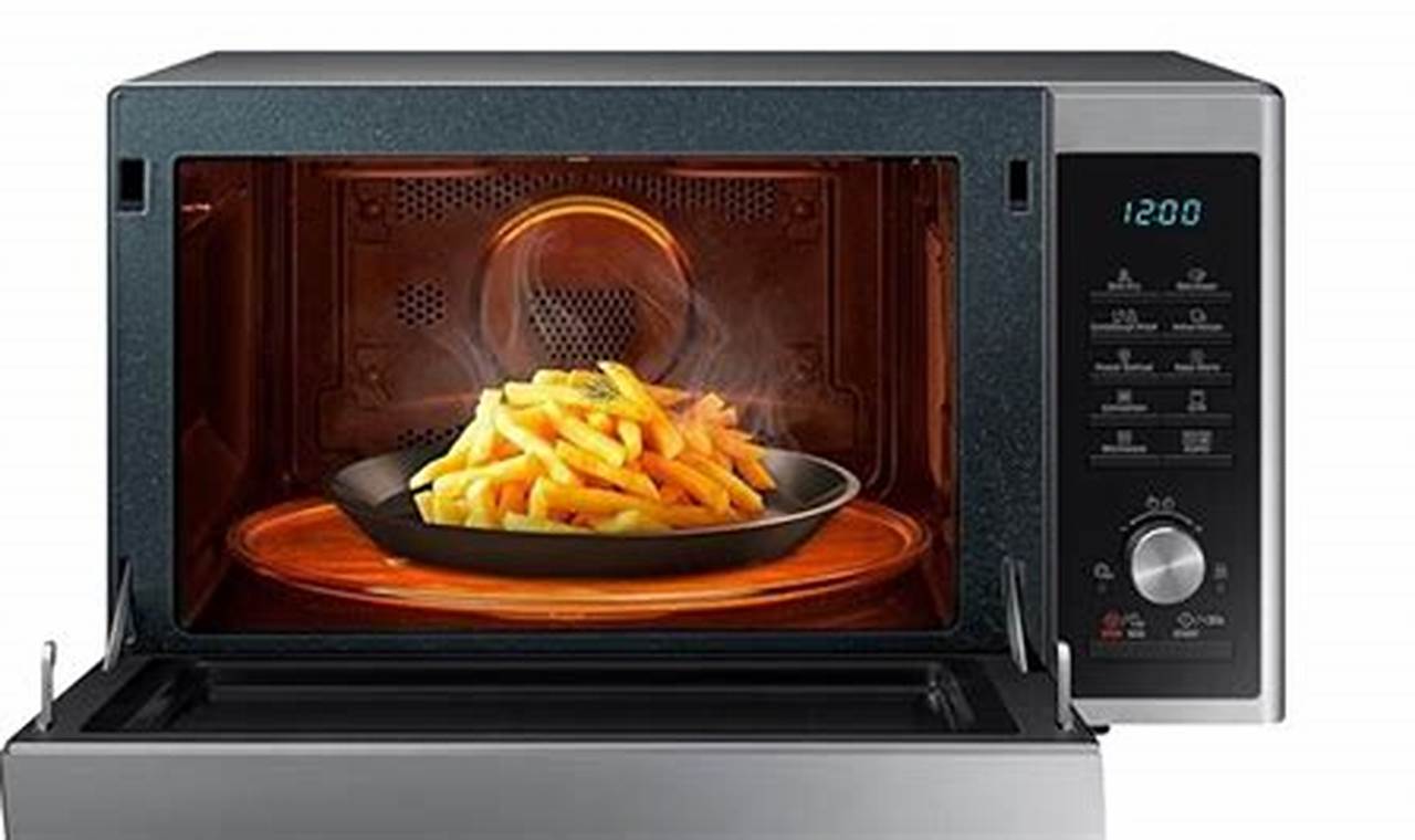 Best Microwave Convection Oven 2024