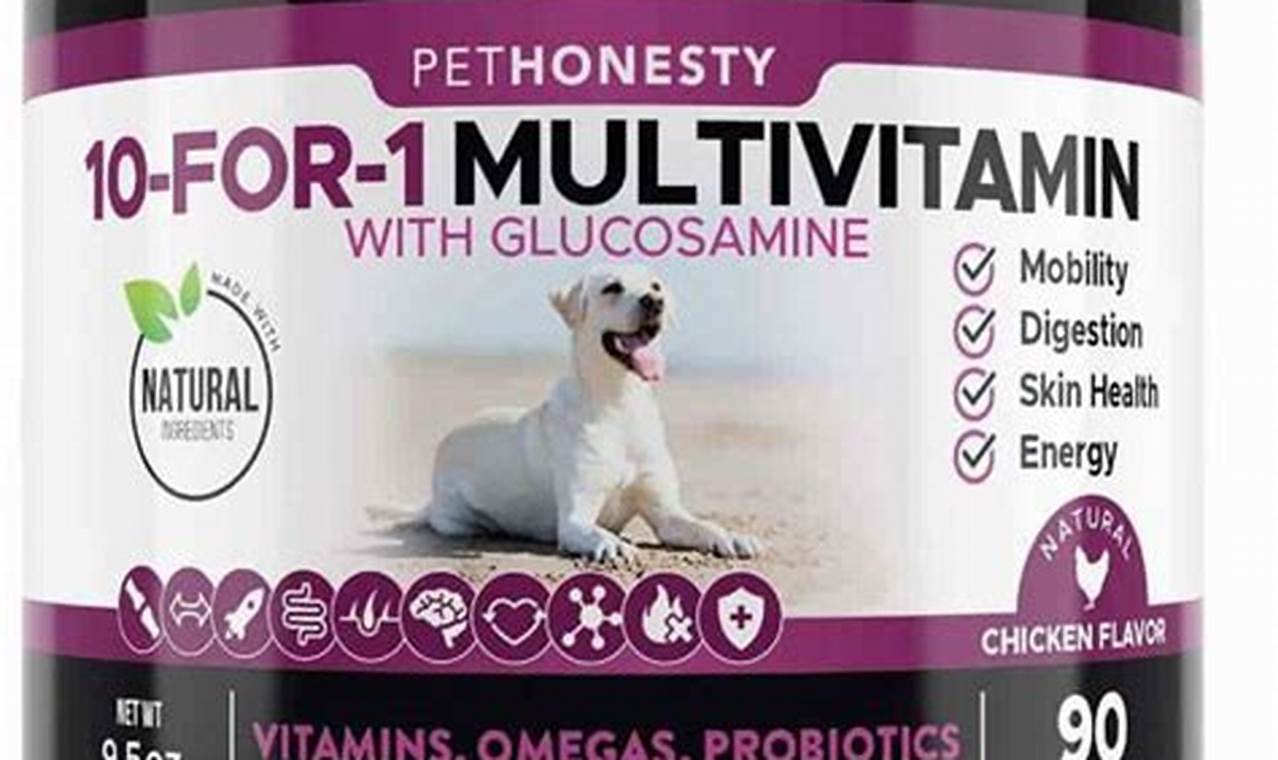 Best Multivitamin For Dogs 2024