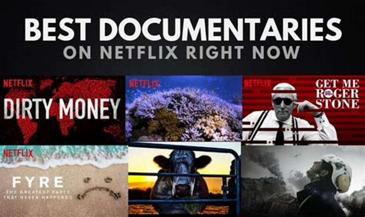 Best Netflix Documentary 2024