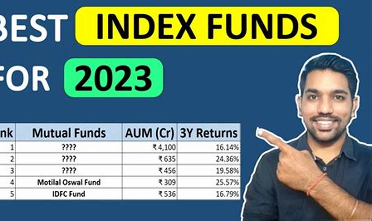 Best Performing Index Mutual Funds 2024