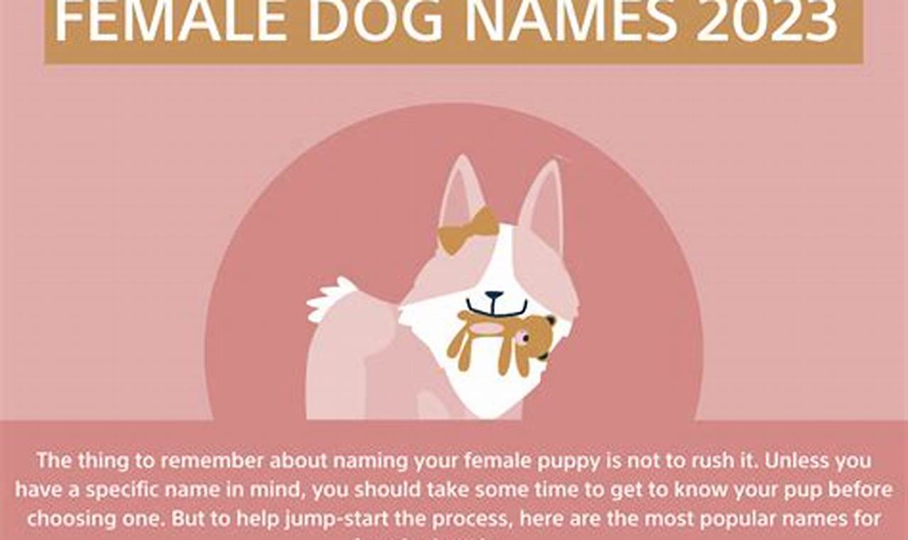 Best Puppy Names Of 2024