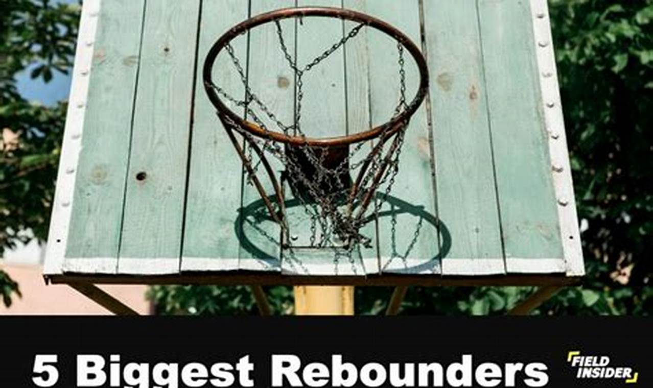 Best Rebounder Nba 2024