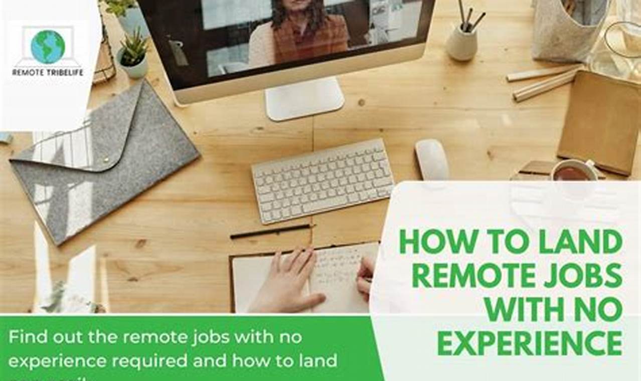 Best Remote Jobs 2024 No Experience No Degree 2024