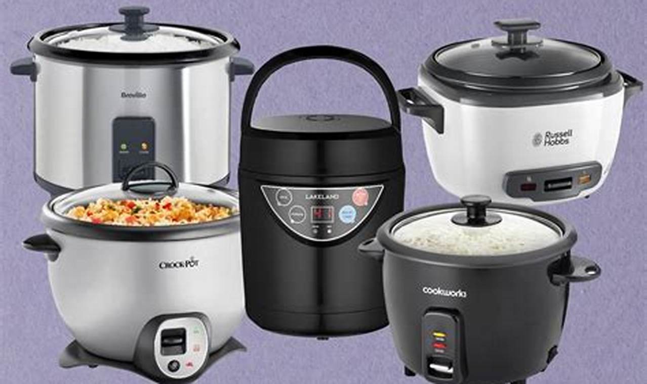 Best Rice Cooker 2024 European Countries