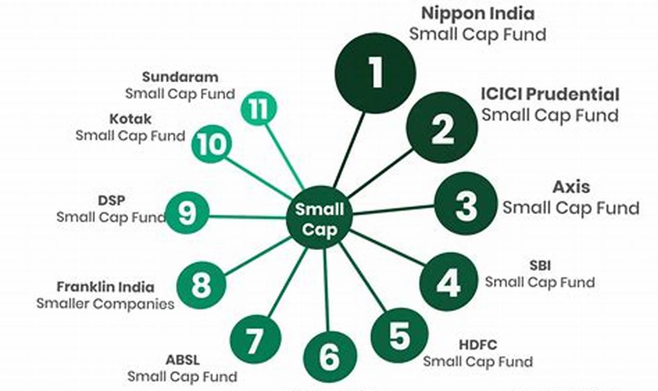 Best Small Cap Funds 2024