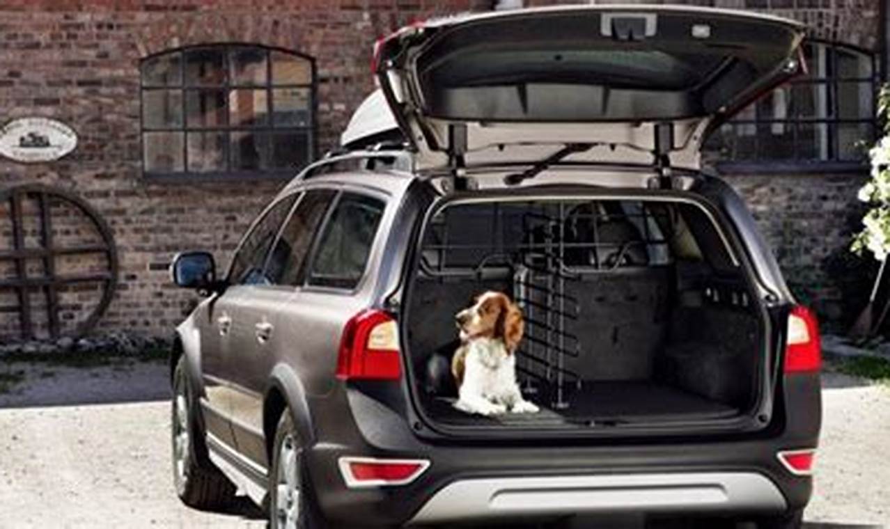 Best Suv For Dog Owners 2024