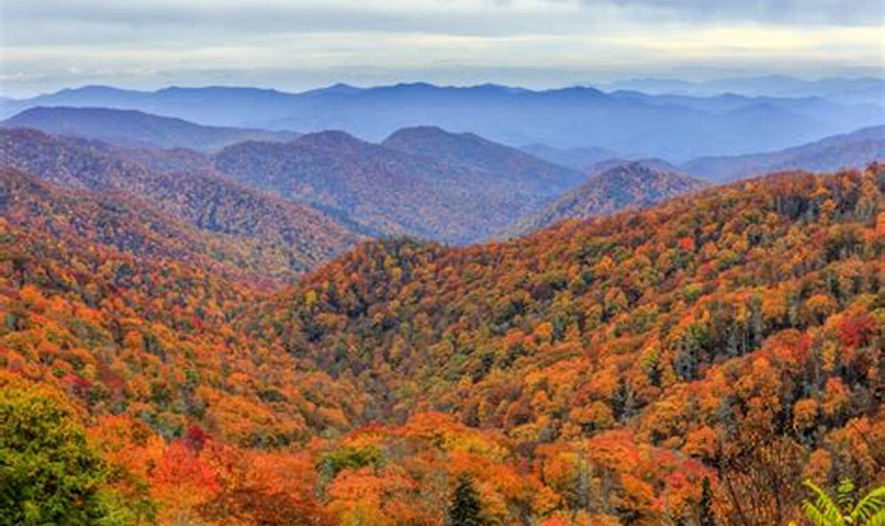 Best Time To Visit Smoky Mountains For Fall Colors 2024