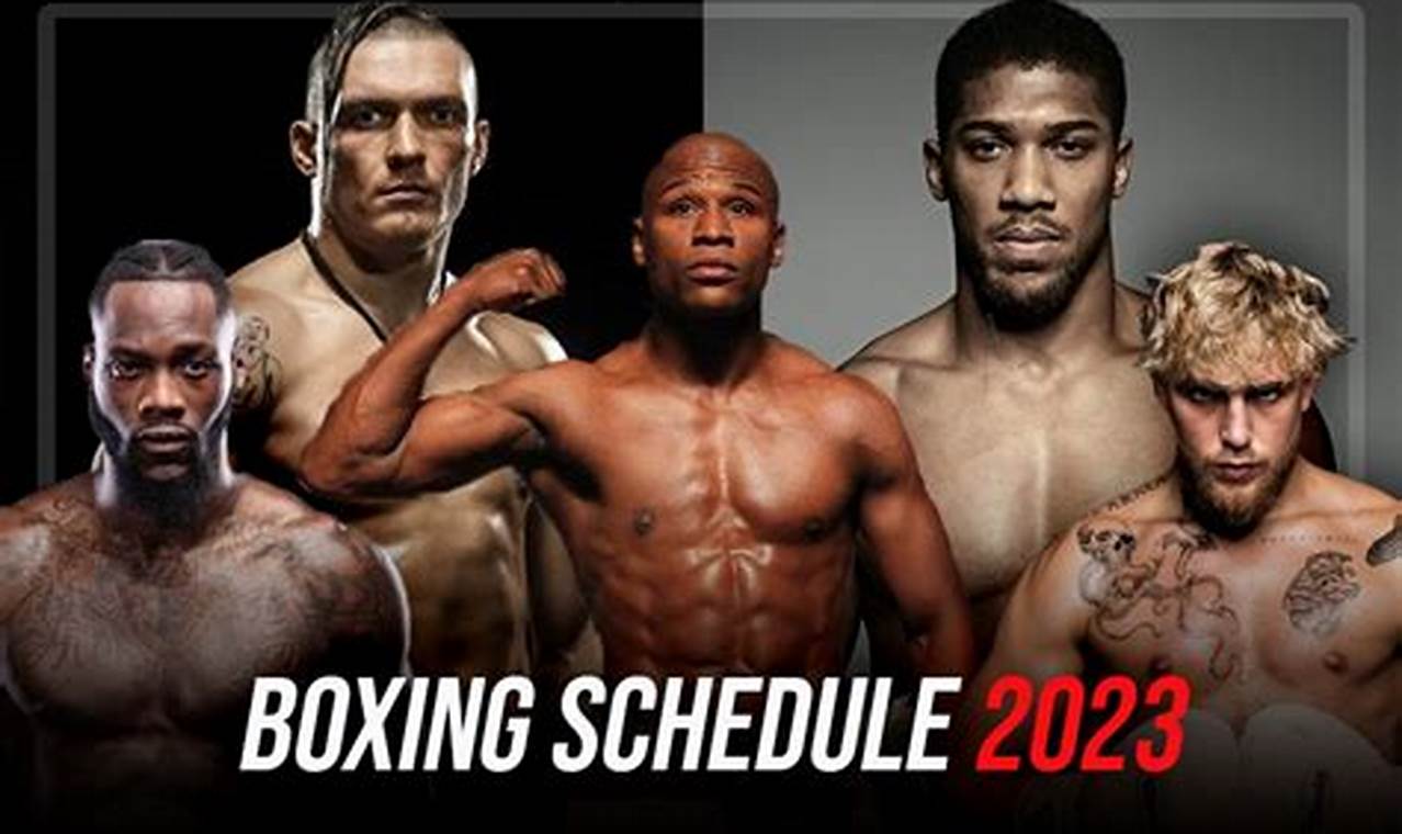 Biggest Boxing Fights 2024