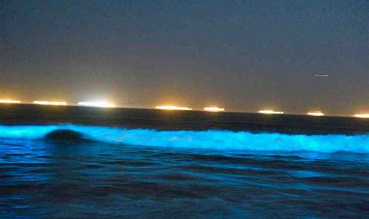 Bioluminescent Waves 2024 Southern California