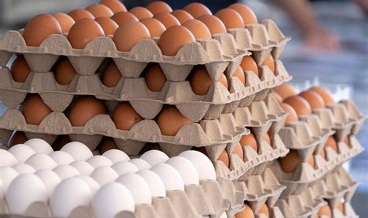 Bird Flu Egg Shortage