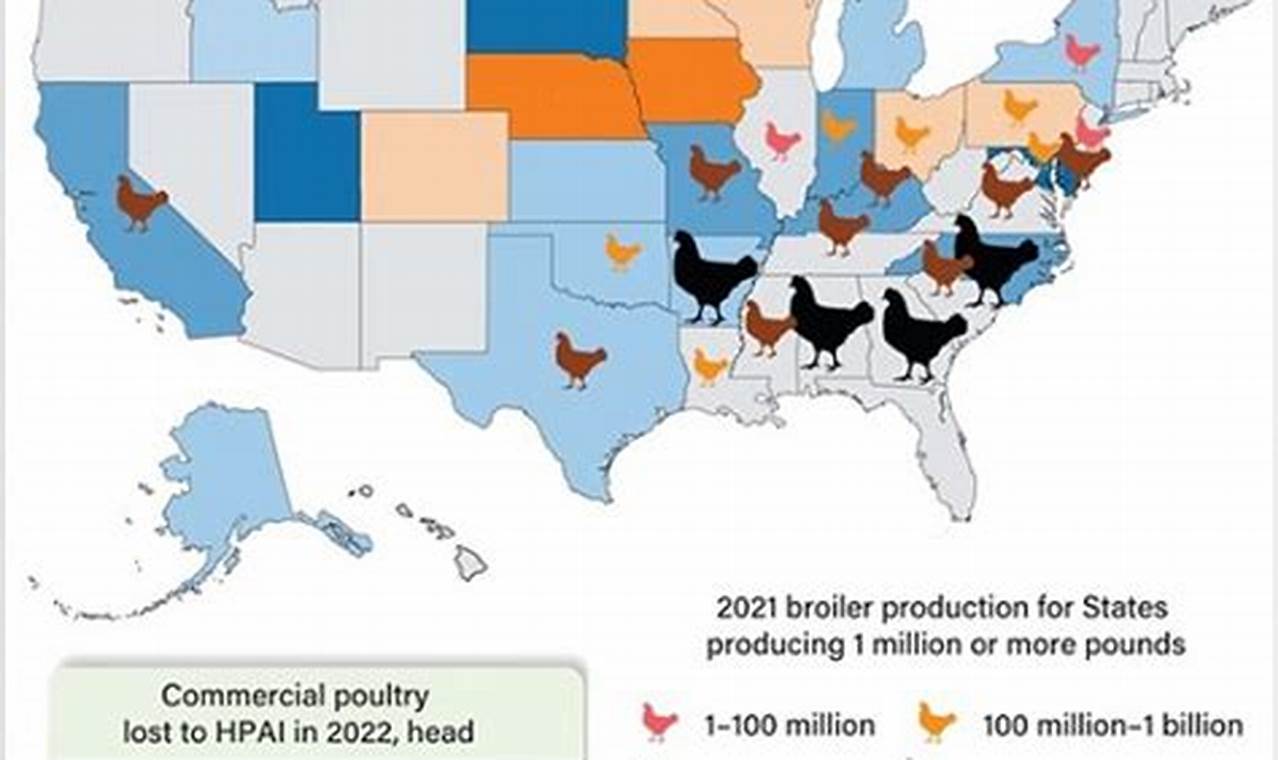 Bird Flu Update 2024 In Usa