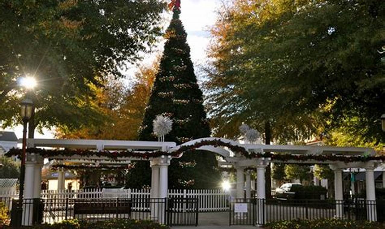 Birkdale Tree Lighting 2024