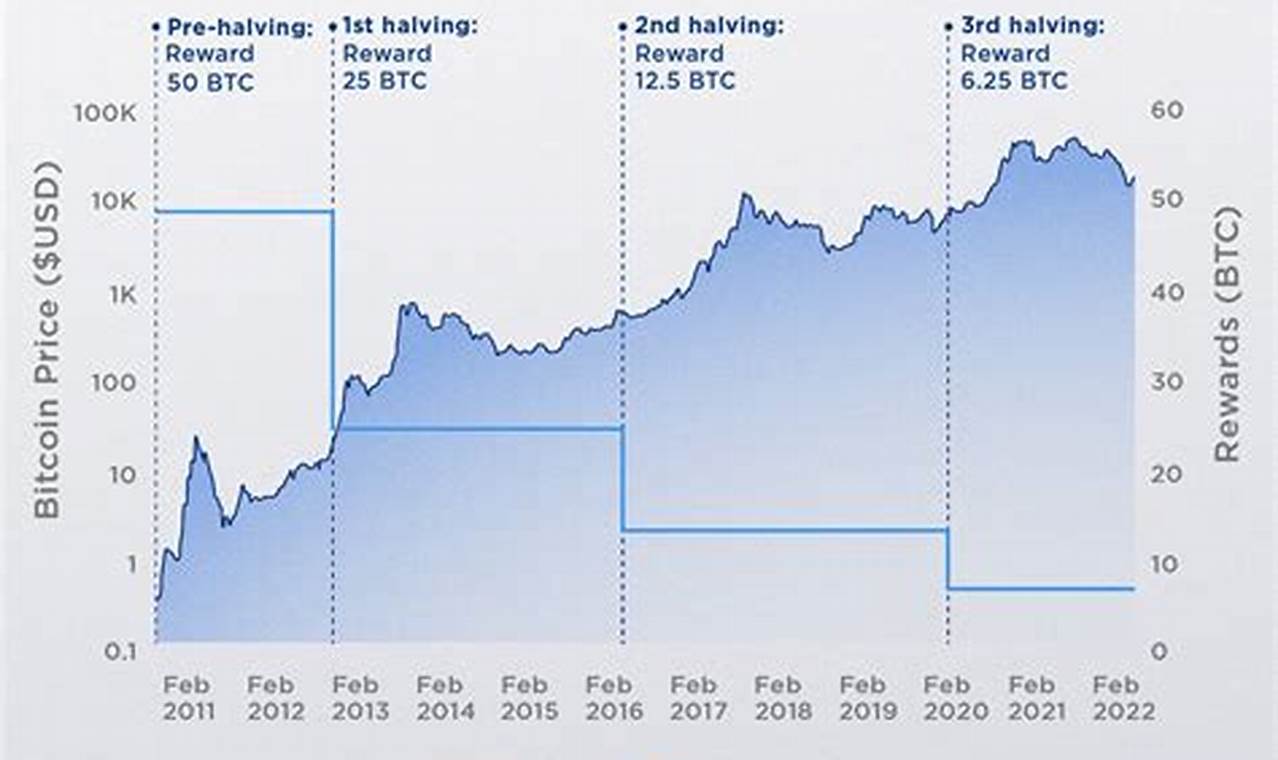 Bitcoin Halving 2024 Reddit