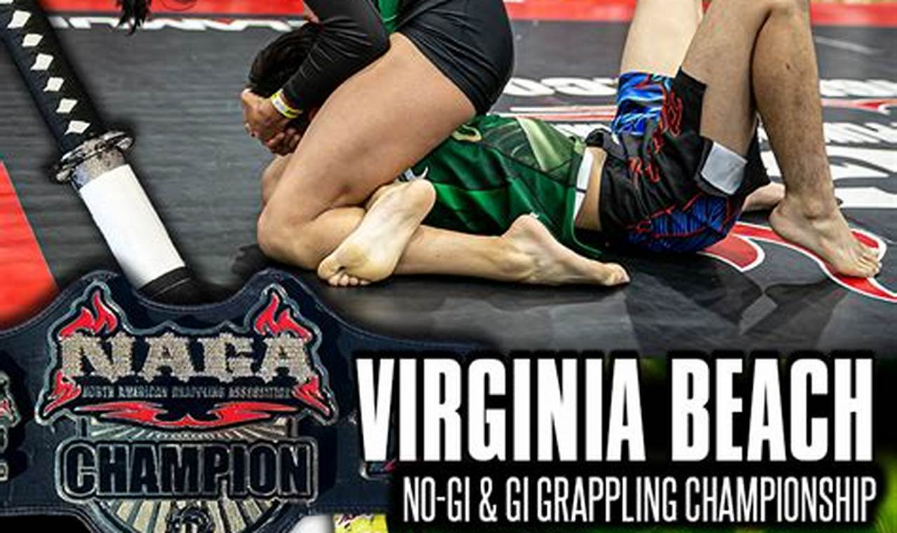 Bjj Tournaments Virginia - 2024