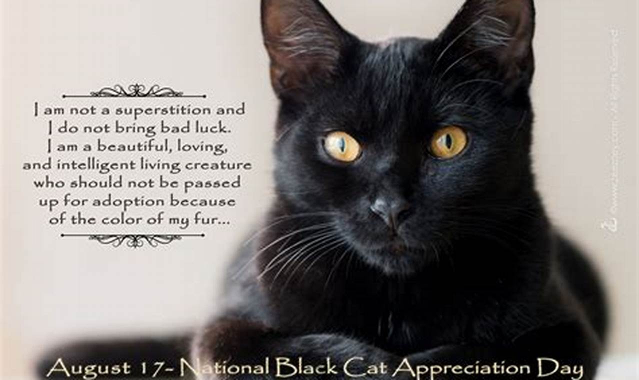 Black Cat Appreciation Day 2024