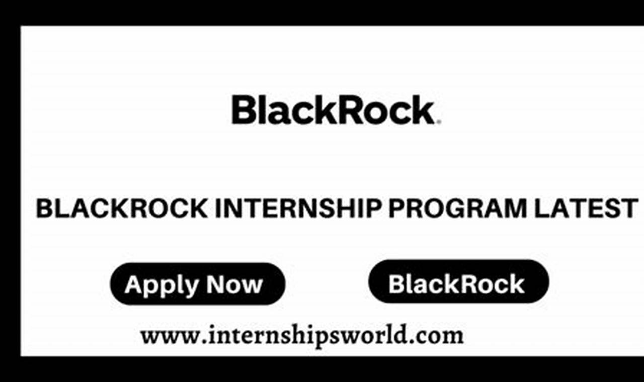 Black Rock 2024 Internship