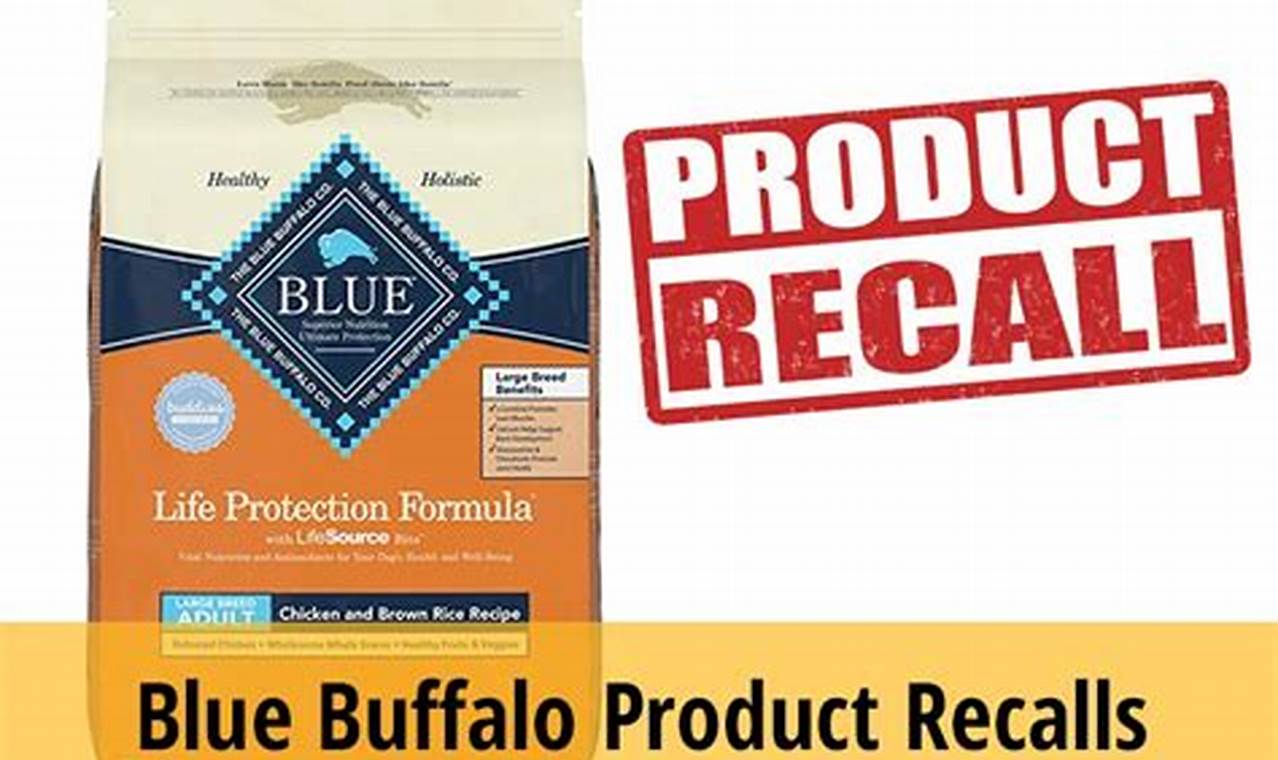 Blue Buffalo Recall 2024 Symptoms