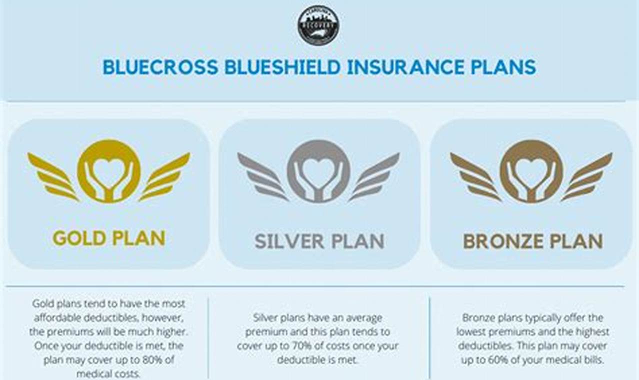 Blue Cross Blue Shield Basic Vs Standard 2024