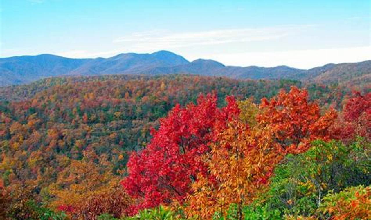 Blue Ridge Parkway Peak Fall Foliage 2024