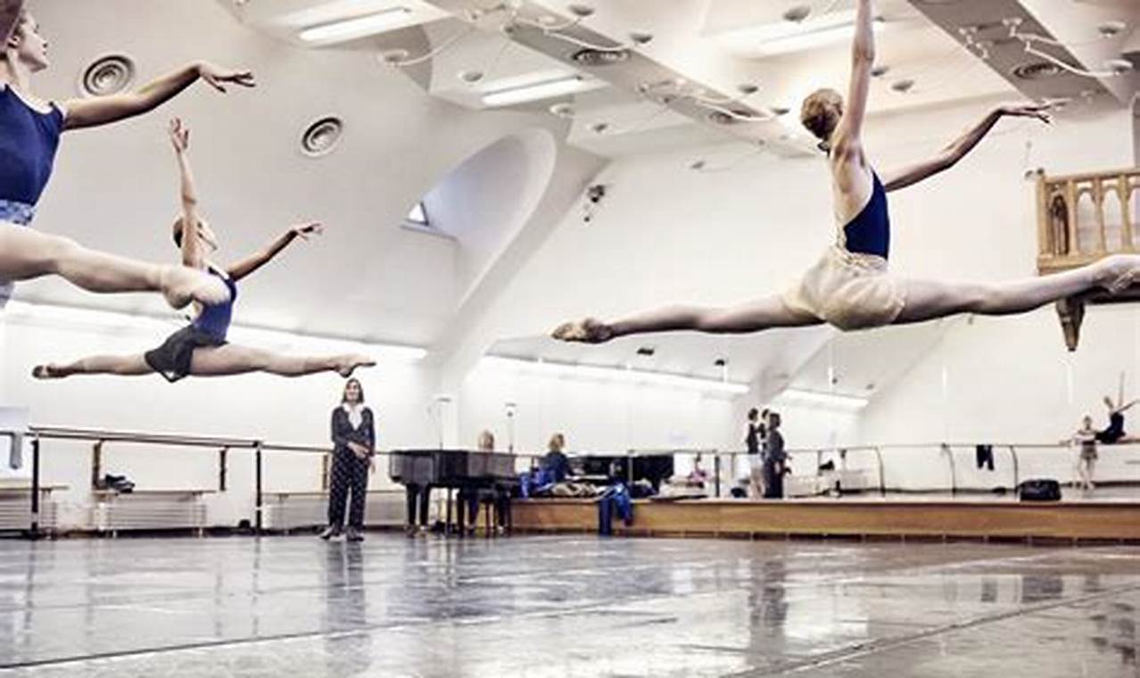 Bolshoi Ballet Tour 2024 Usability