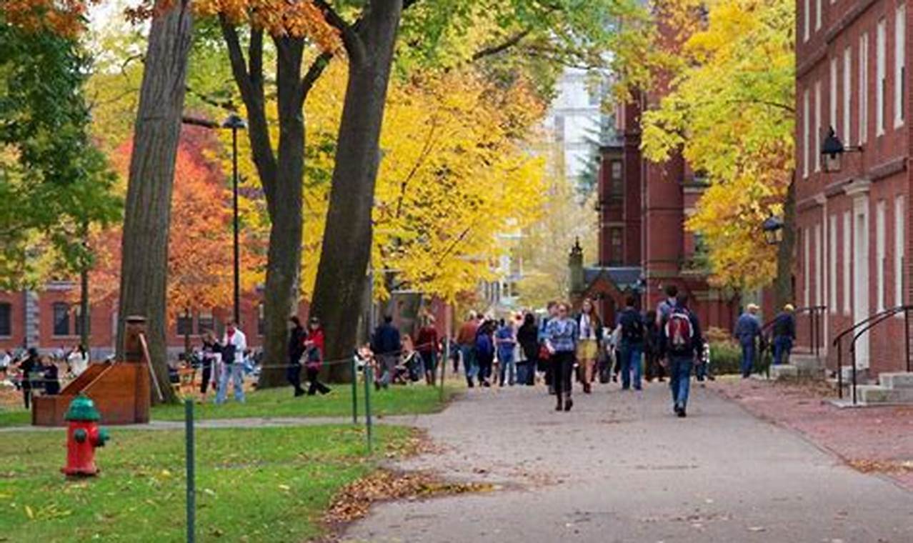 Boston University Fall 2024