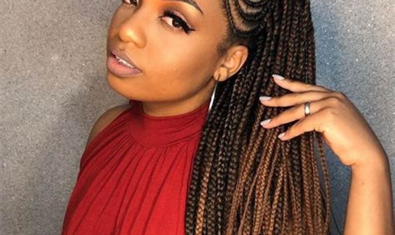 Braids Hairstyles 2024 Pictures: Stay Stylish and Trendy!