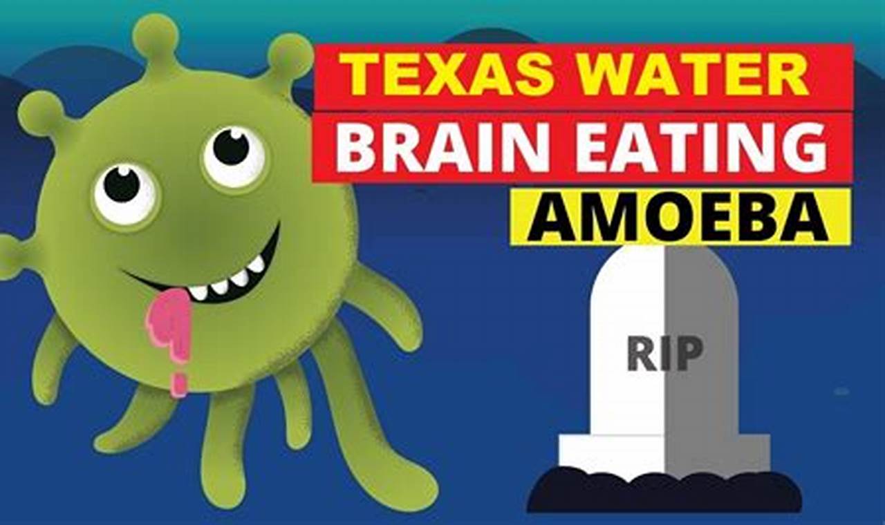 Brain-Eating Amoeba Texas 2024