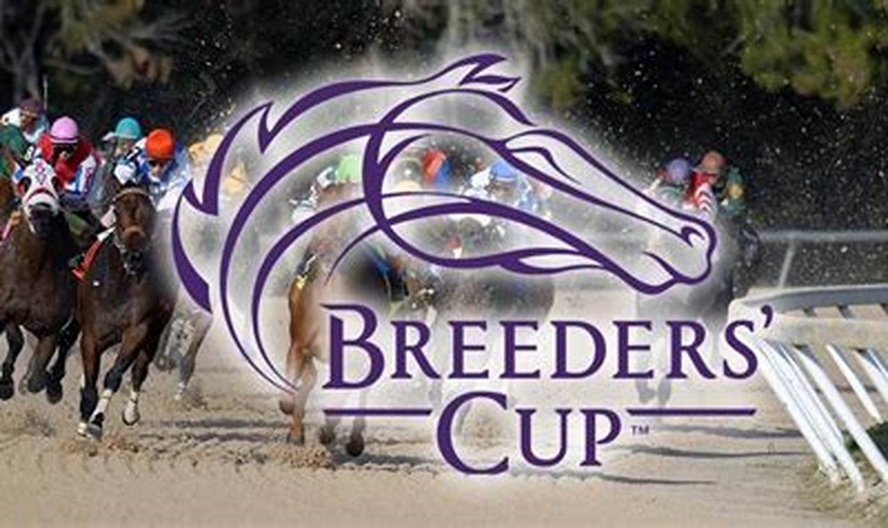 Breeders Cup Classic 2024