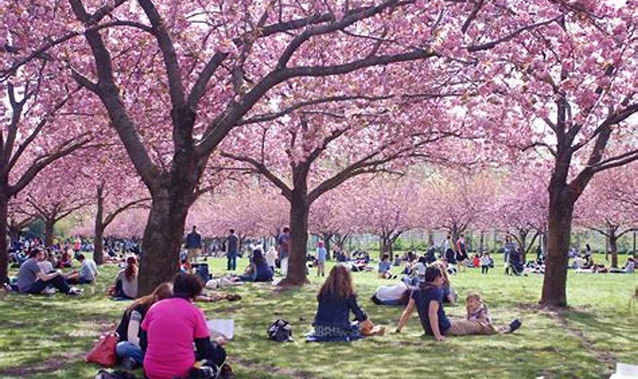 Brooklyn Cherry Blossom Festival 2024