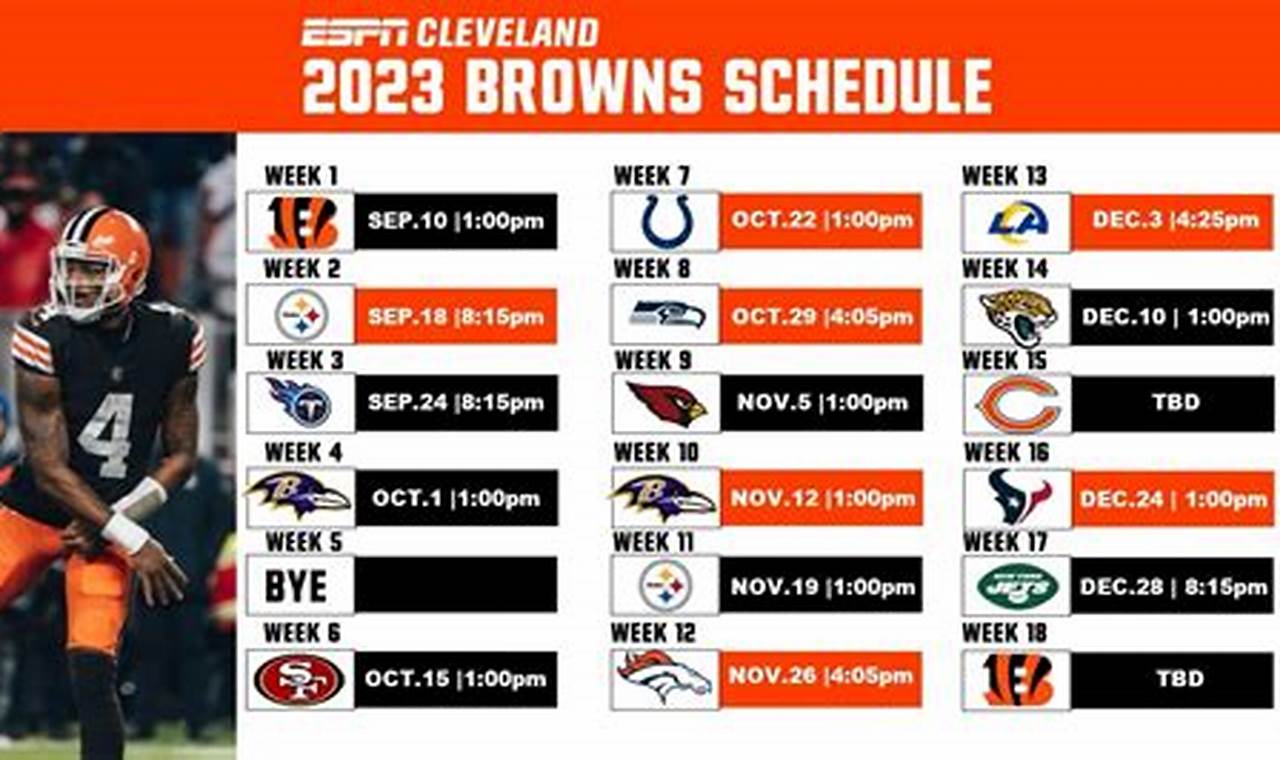 Browns Home Record 2024