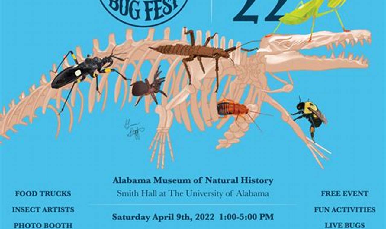 Bug Fest 2024
