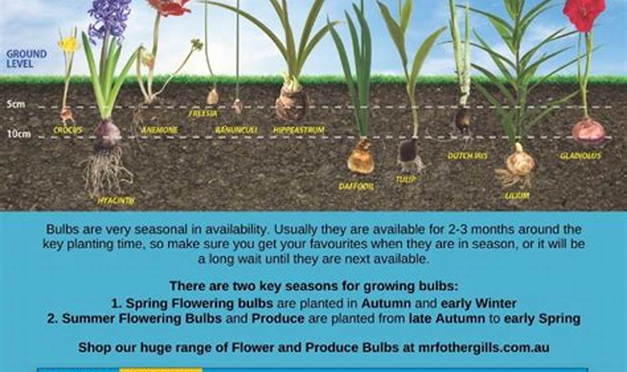 Bulb Planting Calendar